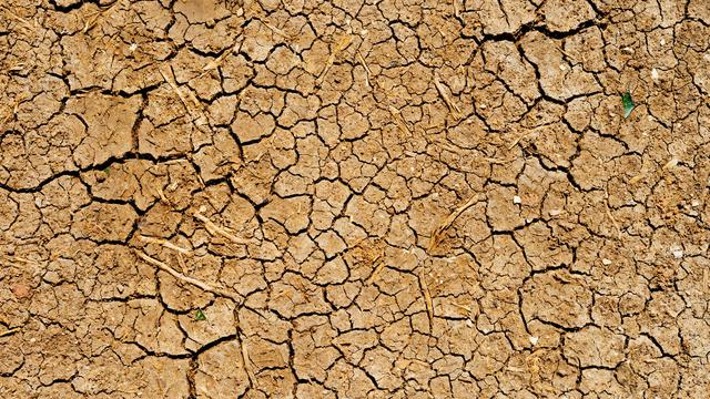[Fimela] Ilustrasi Kemarau dan Kekeringan