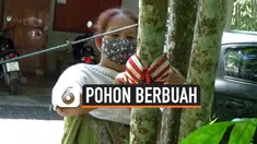vertical pohon