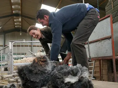 Duchess of Cambridge Kate Middleton (kiri) mencukur bulu domba saat berkunjung ke Deepdale Hall Farm, sebuah peternakan domba tradisional di Patterdale, Cumbria, Inggris, Selasa (11/6/2019). (Owen Humphreys/POOL/AFP)