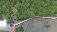 Jalur cinta di hutan mangrove itu dibangun menggunakan dana desa. (dok. istimewa)