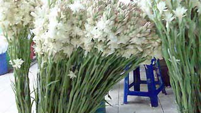 Sedap Malam Bunga Favorit Setiap Lebaran News Liputan6 Com