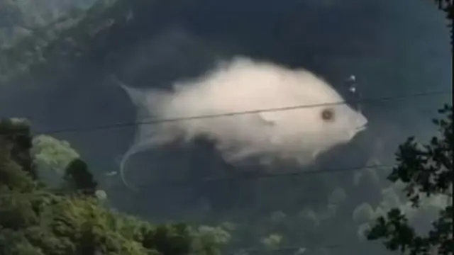 Ilusi Optik Gambar Awan