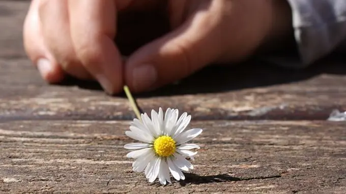 Tercipta jarak./Copyright pixabay.com