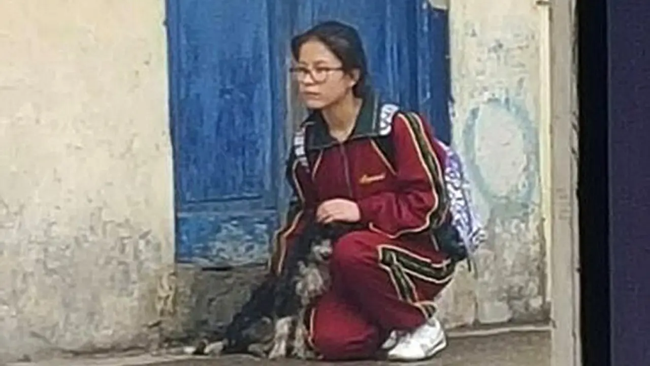 Anjing