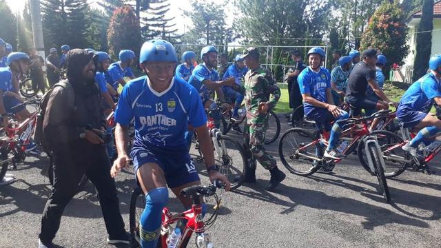 Febri Hariyadi, Persib Bandung