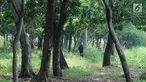 Petugas berpatroli di kawasan Waduk Cincin, Jakarta, Selasa (8/1). Pemerintah Kota Administratif Jakarta Utara berencana menata kawasan Hutan Kota Waduk Cincin yang berlokasi di kawasan Sunter, Jakarta Utara. (Liputan6.com/Herman Zakharia)