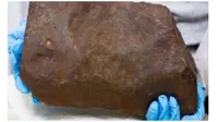 Dikira Emas, Ternyata Pria Ini Temukan Batu Meteroit Berusia 4,6 Miliar Tahun (Sumber: Mirror.co.uk)