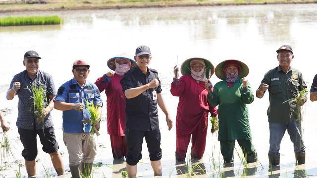 Kegiatan Optimasi Lahan Rawa