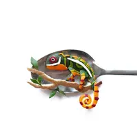 Bukan di atas kanvas, seniman ini membuat lukisan unik dari makanan di atas sendok.