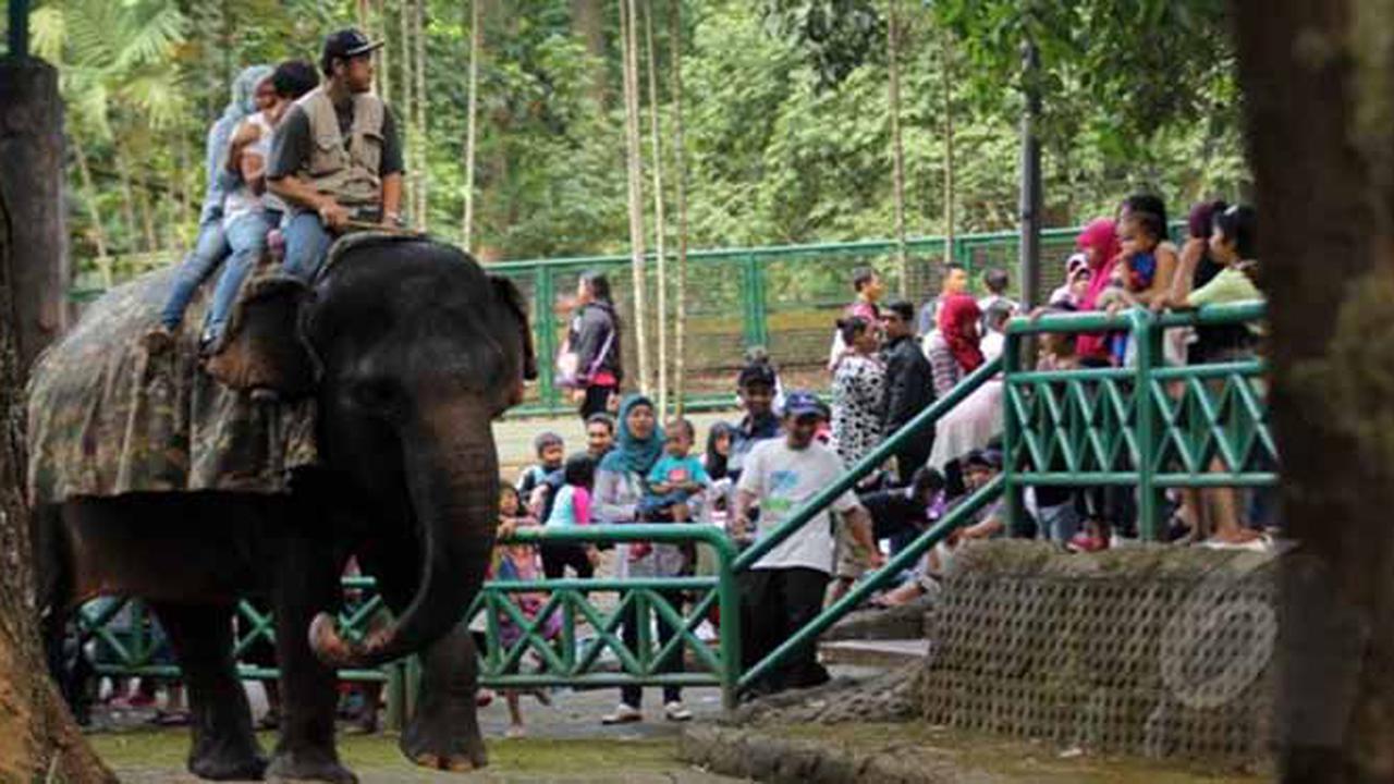 3 Tempat Ini Baik Untuk Mencerdaskan Anak!