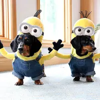 Begini jadinya kalau Minions dijadikan kostum DIY untuk anjing. | via:celebritydachshund.com