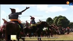Bergiliran memasuki arena, saling melempar lembing sepanjang dua meter. Inilah Pasola, tradisi pertarungan para ksatria berkuda di wilayah Sumba Barat dan Sumba Barat Daya.