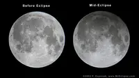 Penampakan Bulan sebelum dan saat Gerhana Bulan Penumbra terjadi (F. Espenak)