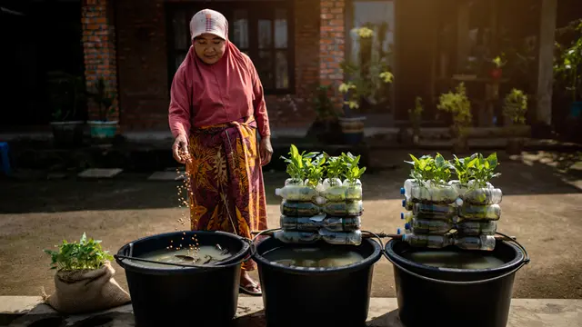 Ide Ternak Lele Ember untuk Ibu-Ibu PKK Modal Kecil (AI)