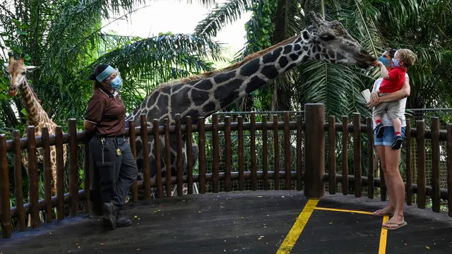 Kebun Binatang di Singapura