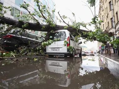 Sebuah mobil tertimpa pohon yang tumbang akibat terjangan badai di Moskow, Rusia (29/5). Badai berkecepatan 110 km per jam diserta hujan es itu menyebabkan 11 orang tewas dan 69 orang terluka. (AP Photo)