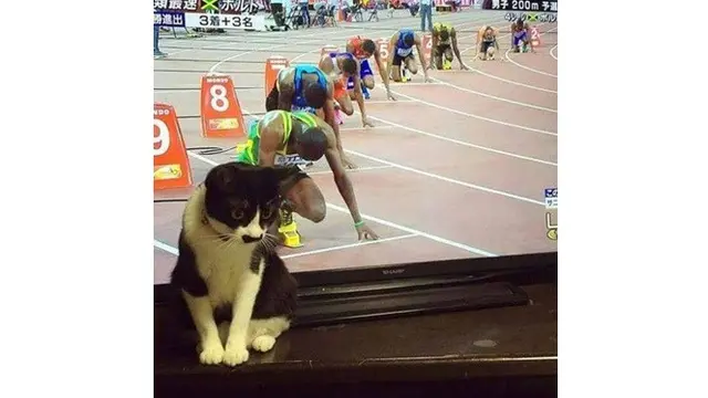 Berkat Timing yang Pas, 7 Foto Ini Terlihat Menarik Banget