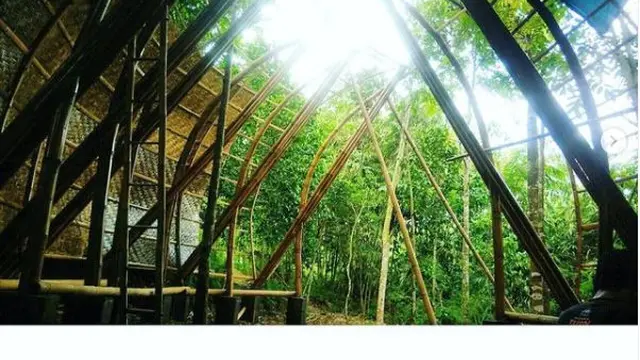 Sekelumit tentang Bambooland Indonesia, Komunitas Penjaga Bambu