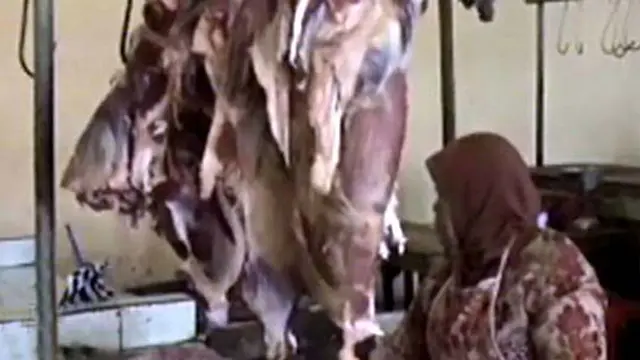 Daging Sapi Mahal, Pengusaha Keluhkan Pungli