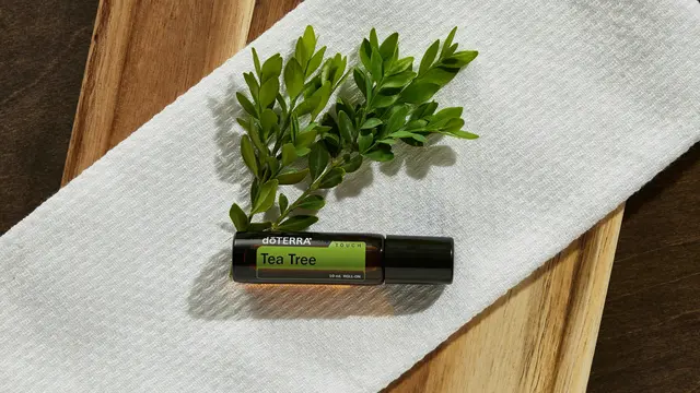 Tea Tree Oil