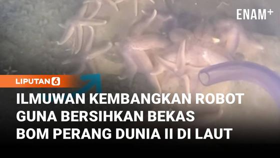 Ilmuwan Kembangkan Robot untuk Bersihkan Bekas Bom Perang Dunia II di Laut