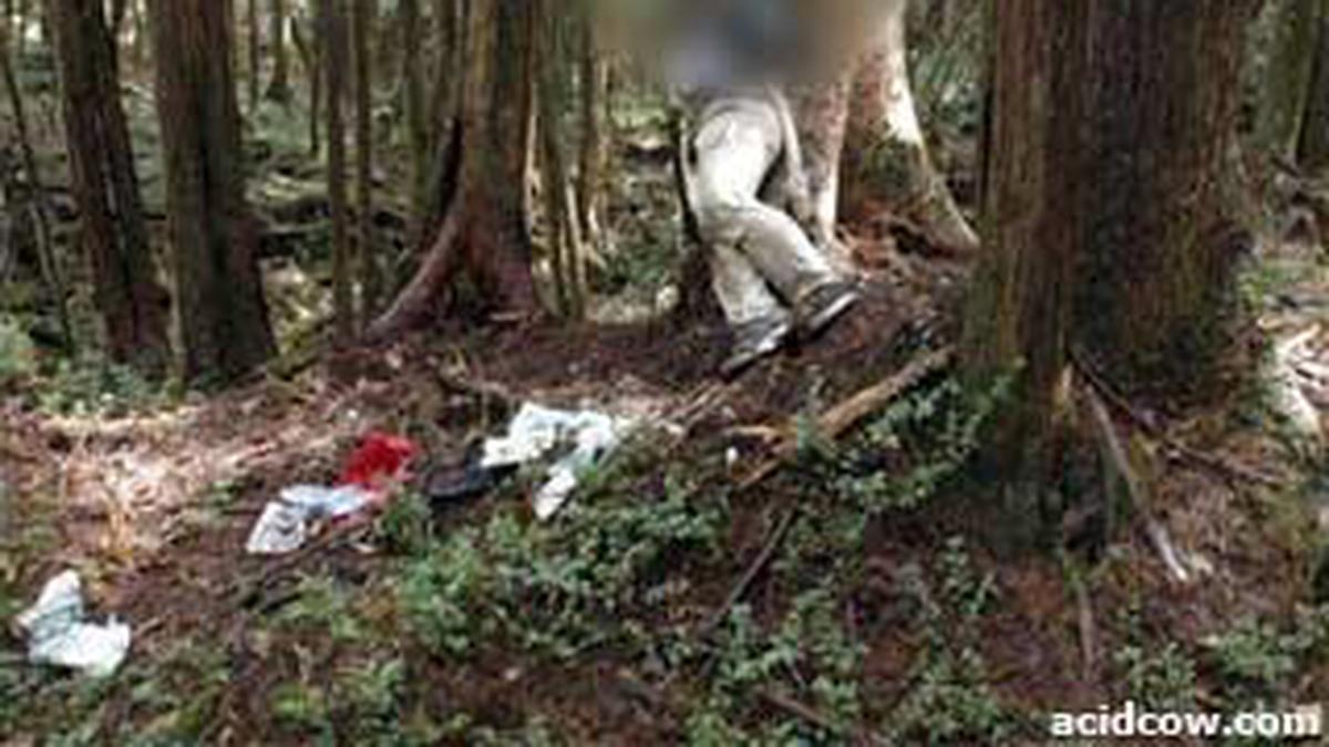 Hutan Aokigahara, Tempat Favorit Pelaku Bunuh Diri - Global Liputan6.com