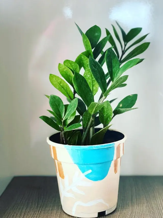 10 Tanaman Cantik yang Mudah untuk Ditanam di Rumah