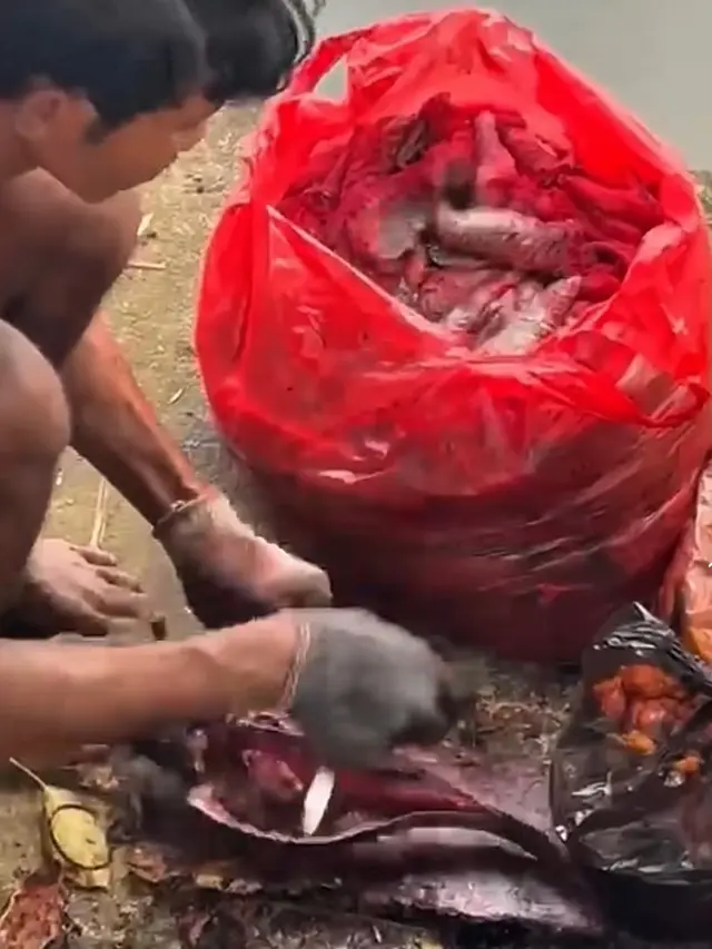 Warga Tengah Menyiangi Ikan Sapu-Sapu di Pinggir Kali