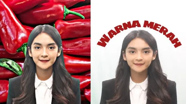 editan foto warganet