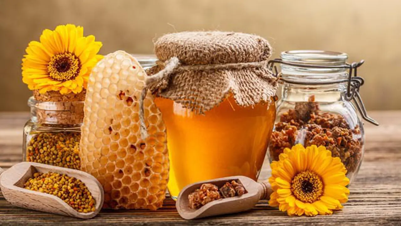 Foto: shutterstock