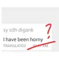 Percakapan dengan Terjemahan Otomatis Ini Bikin Tepuk Jidat (sumber:Twitter/@liqueurwizard)