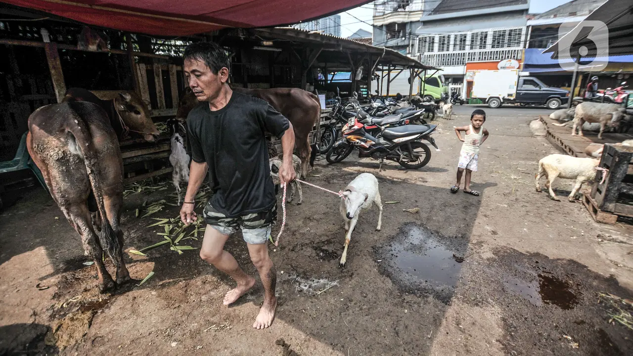 FOTO: Penjualan Hewan Kurban Terdampak PPKM Darurat