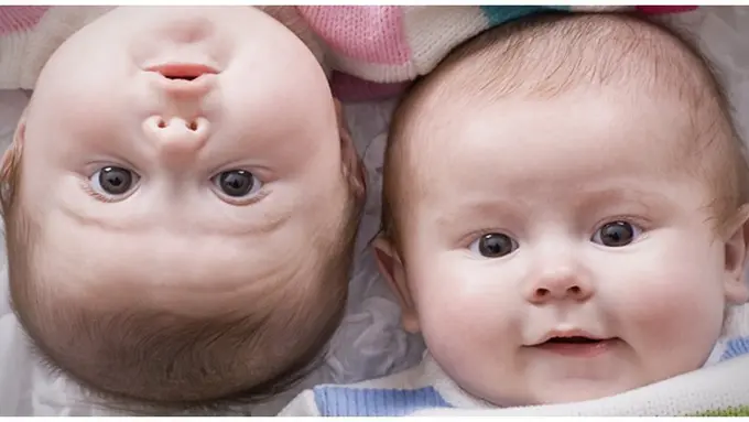 copyright by shutterstock.com