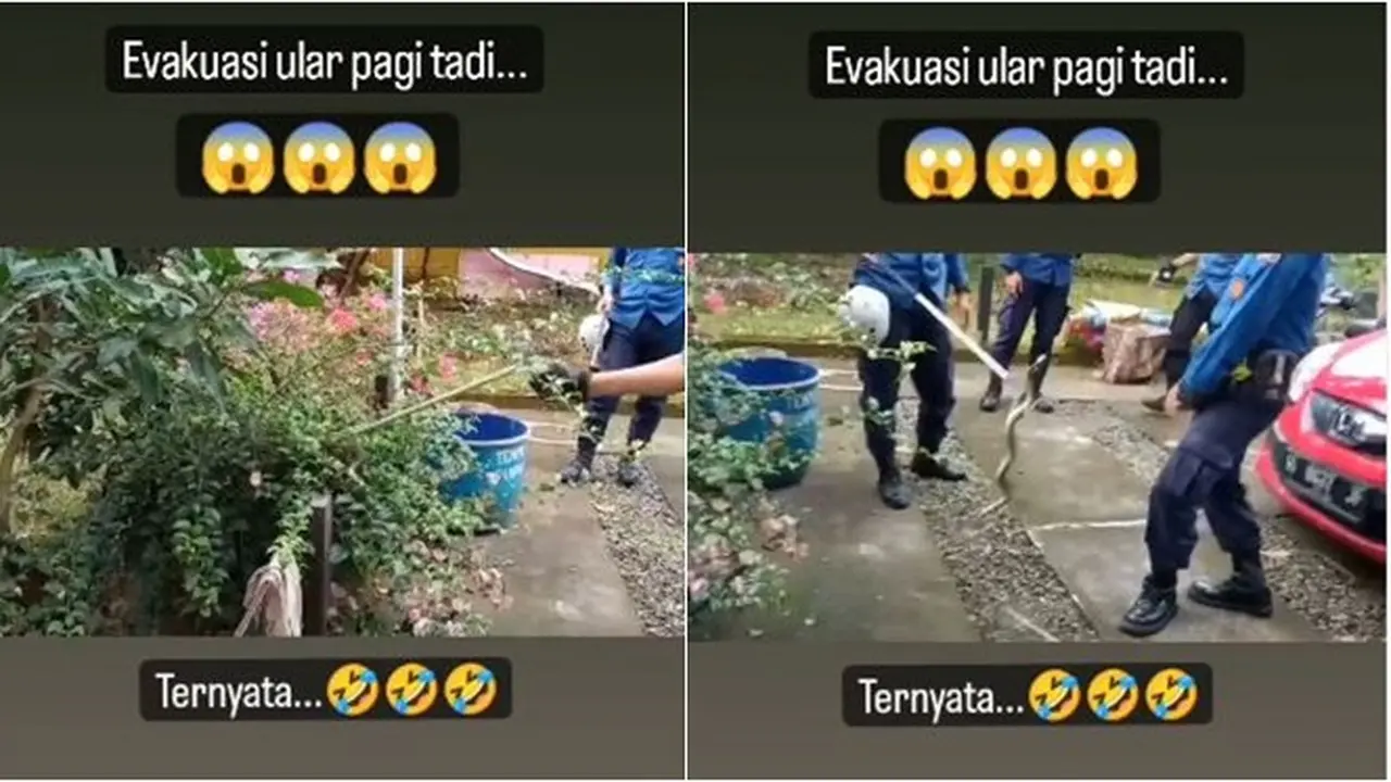 Petugas Damkar Ini Dibuat Ngakak saat Tangkap Ular di Tanaman, Netizen: Kena Prank