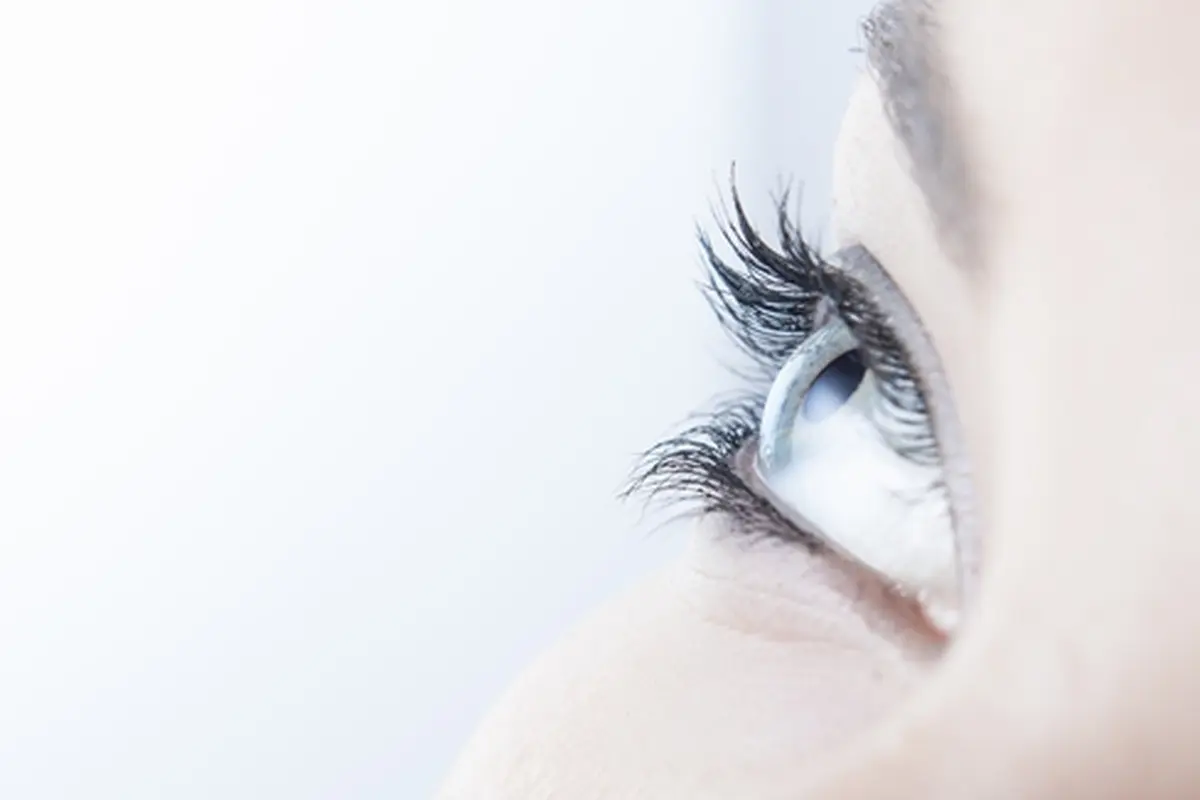 Foto: copyright thinkstockphotos.com