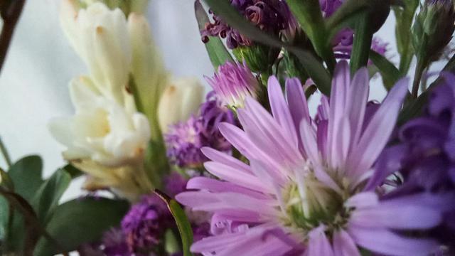 Hasil foto dengan kamera makro di dalam ruangan dengan Samsung Galaxy M22 (Liputan6.com/Giovani Dio Prasasti)