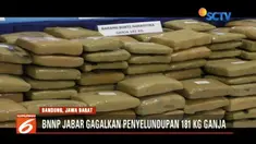 BNNP Jabar ringkus lima kawanan pengedar ganja seberat 181 kilogram.