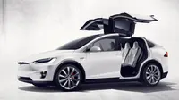 CEO Tesla Motors secara tidak sengaja mengumumkan akan memproduksi crossover listrik entry-level bernama Model Y. 