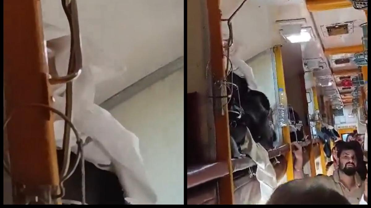 Viral Video Ular Melilit Pegangan di Kereta India