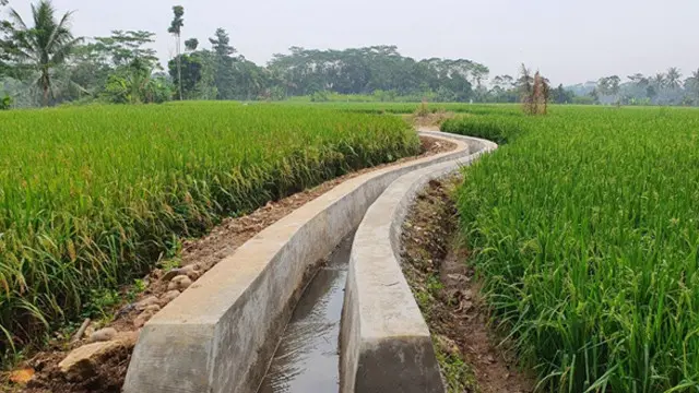 Ditjen SDA Kementerian PUPR Percepat Program Padat Karya Tunai