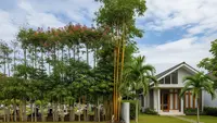 9 Desain Rumah Dekat Kuburan Agar Tak Terlihat Seram, Nyaman Anti Mencekam