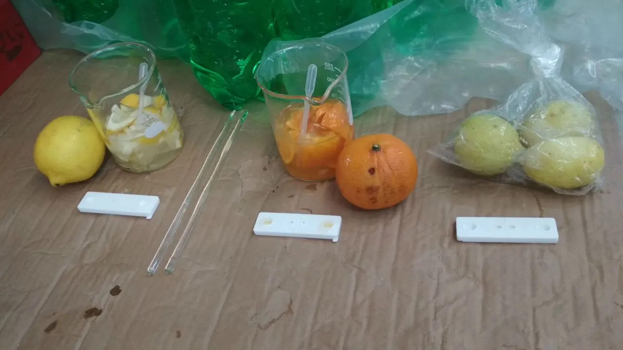 Waspada Lemon Mengandung Pestisida di Cirebon