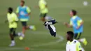 Seekor burung terbang melintas saat para pemain timnas sepak bola Brasil berlatih mempersiapkan diri untuk turnamen Copa America. (Reuters/Ricardo Moraes)