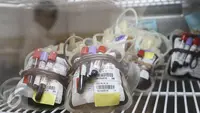 Jauh Dari Ideal, Stok Labu Darah Kota Bandung Menipis