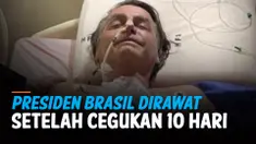 THUMBNAIL BRASIL