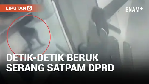 VIDEO: Sedang Tidur, Satpam Kantor DPRD Tanjungbalai Diserang Beruk Liar