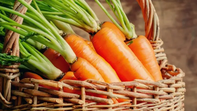 Foto: Copyright ThinkStockPhotos.com