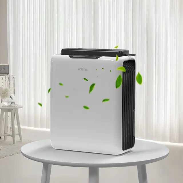 Intensitas Hujan Tinggi, Ini Peran Dehumidifier dalam Menjaga Kualitas Udara di Rumah
