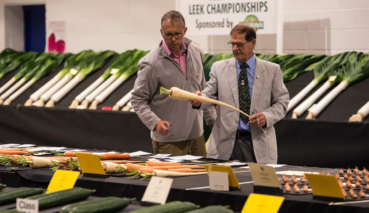 Juri menilai umbi-umbian yang diikutsertakan dalam kompetisi sayur di Great Yorkshire Showground, Harrogate, Inggris, Jumat (16/9). Kompetisi ini menjadi ajang unjuk kebolehan dalam dunia pertanian di Inggris. (AFP PHOTO/Oli Scarff) 