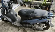 7 Cara Membersihkan Jok Motor setelah Terkena Pipis Kucing, Bau Pesing Bisa Hilang